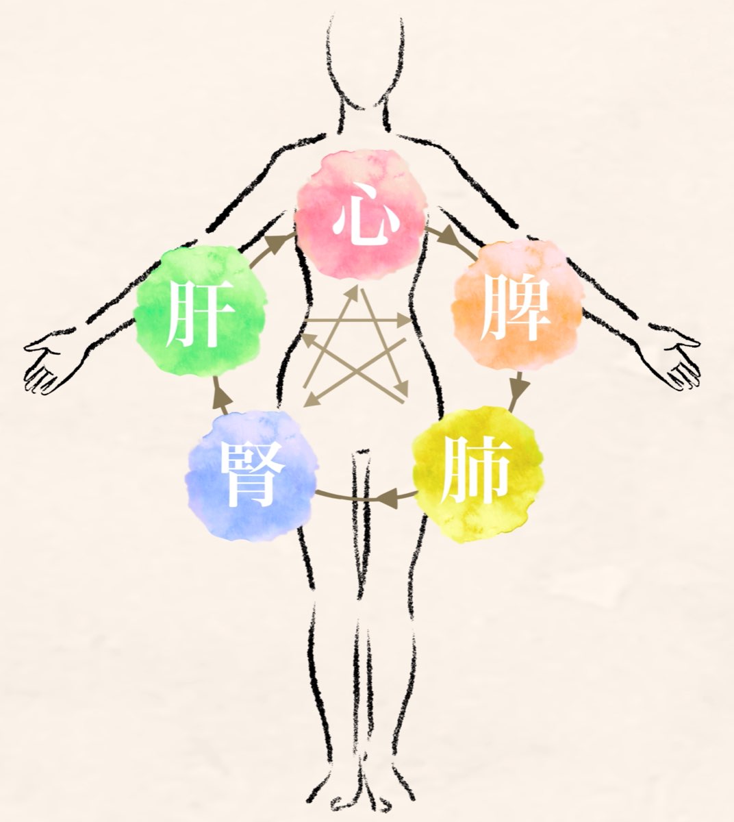 五行（心・肝・脾・肺・腎）のバランス